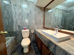 Le Hill Condominium (D5), Condominium #557737021